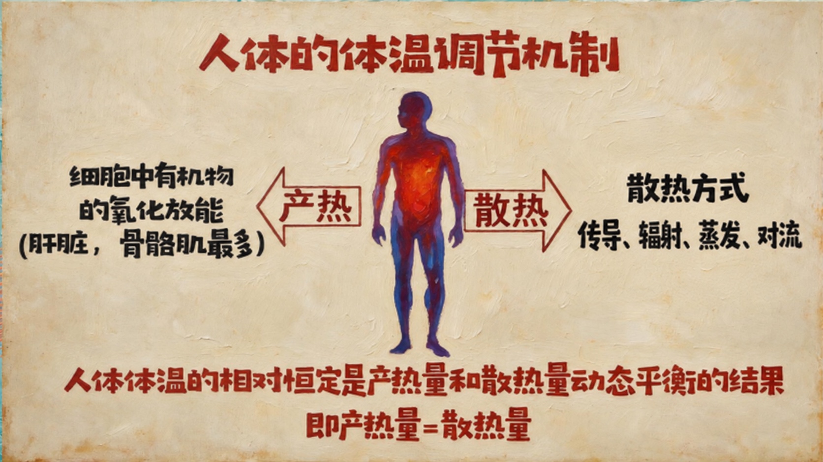 人体体温调节机制：人体产热与通过传导、辐射、蒸发、对流散热保持动态平衡